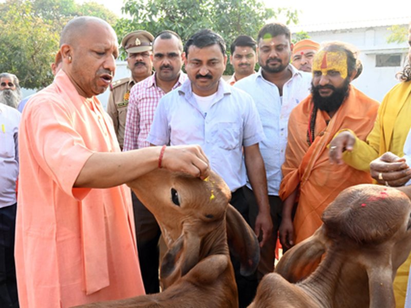 From Panchgavya to biogas: UP’s new drive for sustainable rural development  