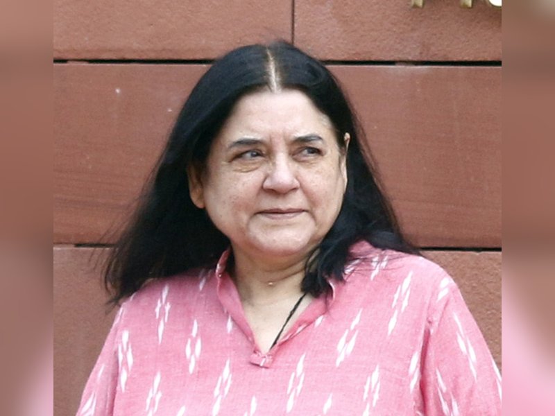Maneka Gandhi welcomes Supreme Court’s modified directions on stray dogs in Delhi-NCR
