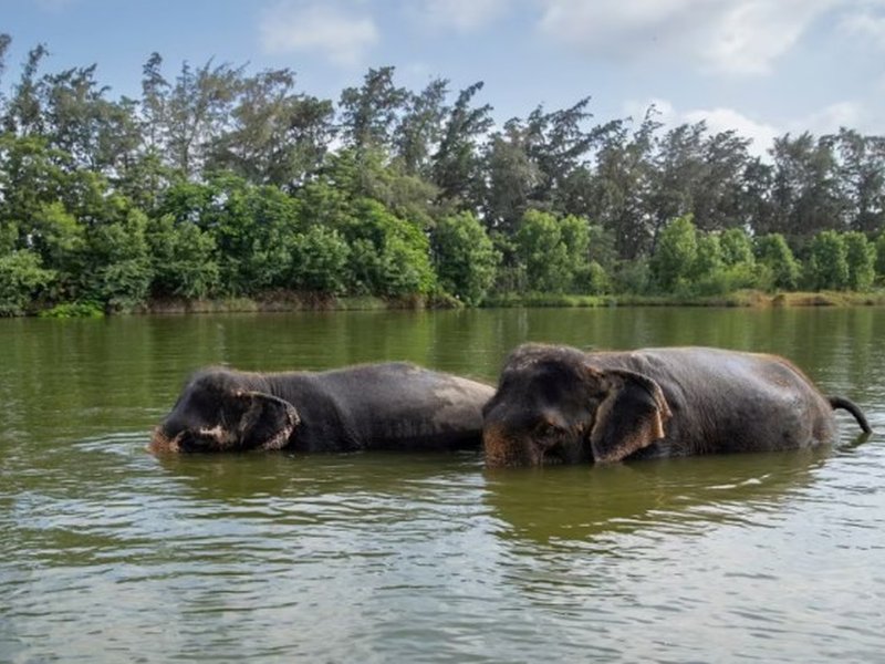 Will fully comply with SC order to appoint SIT: Vantara