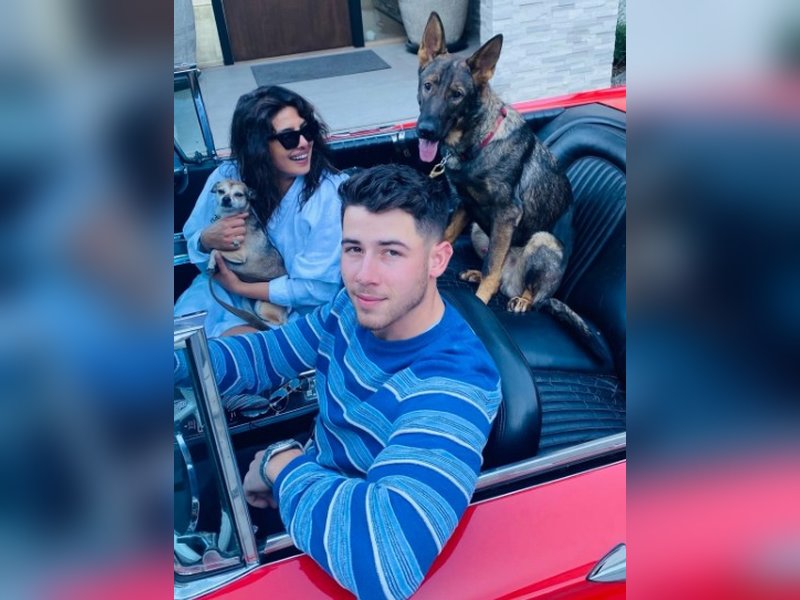 Priyanka, Nick celebrate furry friends Gino, Diana’s b’day: We love you so much 