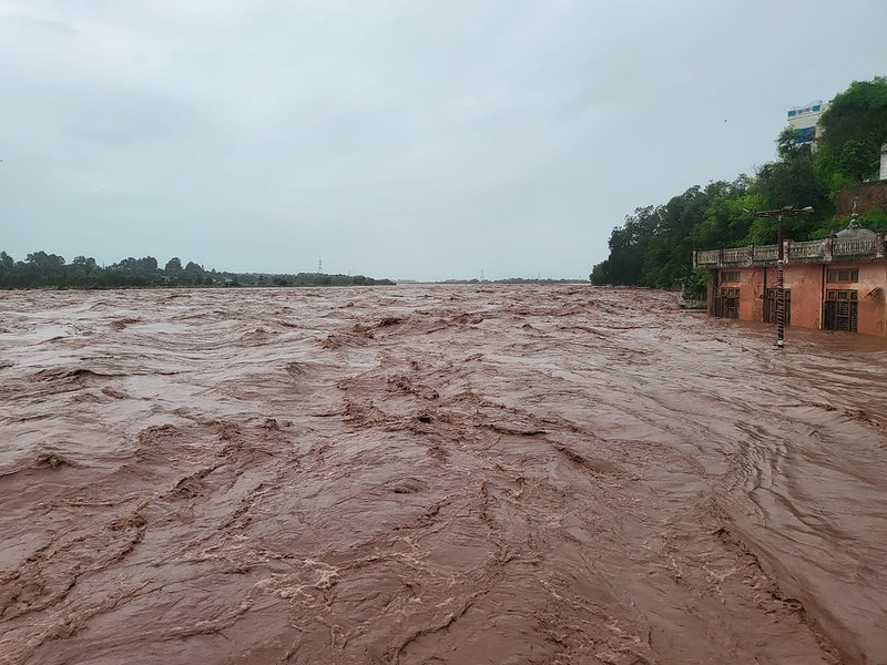 वियतनाम में बाढ़ की तबाही : 67,700 से ज्यादा घर डूबे, अनाज और पशुओं पर भी आया संकट