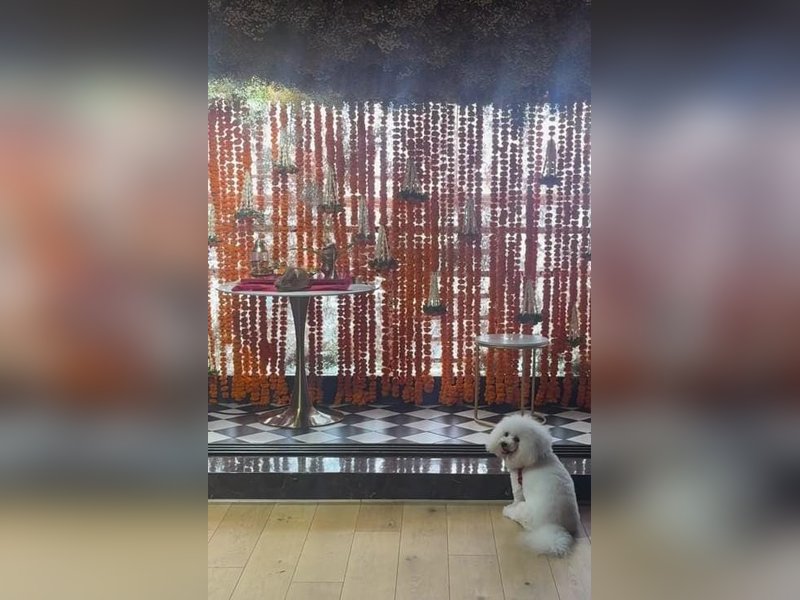 Kartik Aaryan captures Katori sulking over Bappa’s farewell