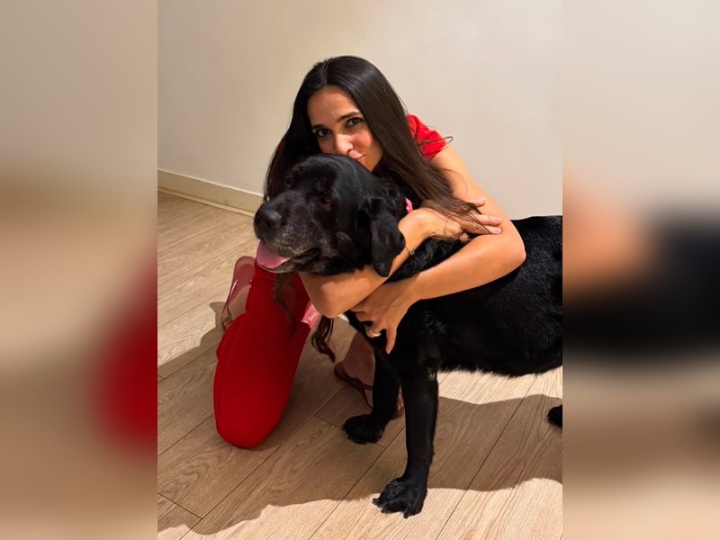 Tara Sharma is heartbroken as she said goodbye to her furry baby Tiu: 'We will meet again'