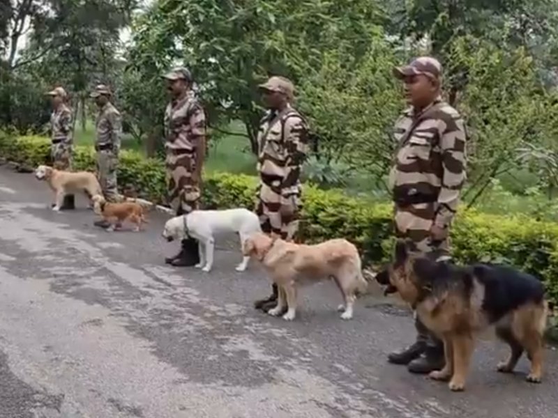 Bihar Police dog squad to get 30 specially trained dogs soon