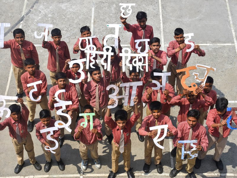 अगर दूसरी भाषाओं से शब्द उधार लेती रही है हिंदी, तो आखिर क्या है 'शुद्ध हिंदी'?