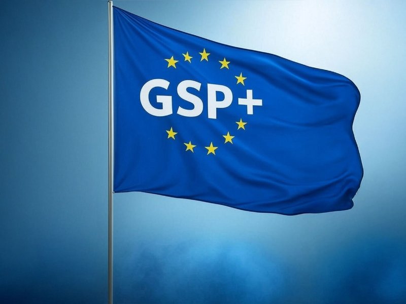 EU leaders need to relook at GSP+ trade status for Pakistan
