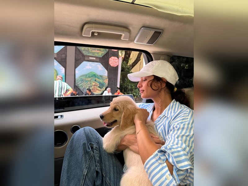 TriptiI Dimri brings home her new fur baby Lychee 'Our family just got bigger'