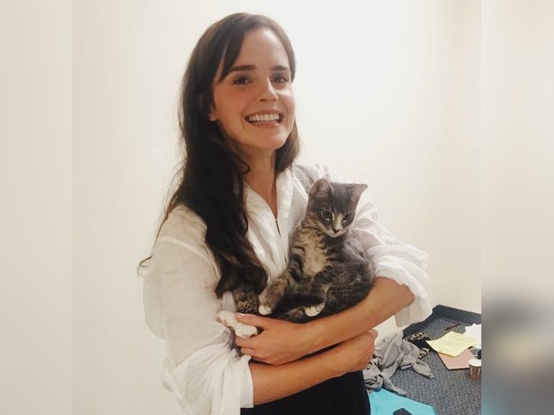 Emma Watson speaks up on trans right, JK Rowling	