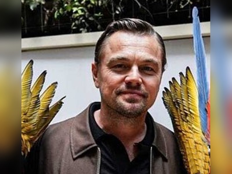 Leonardo DiCaprio shared why he thinks box-office is important