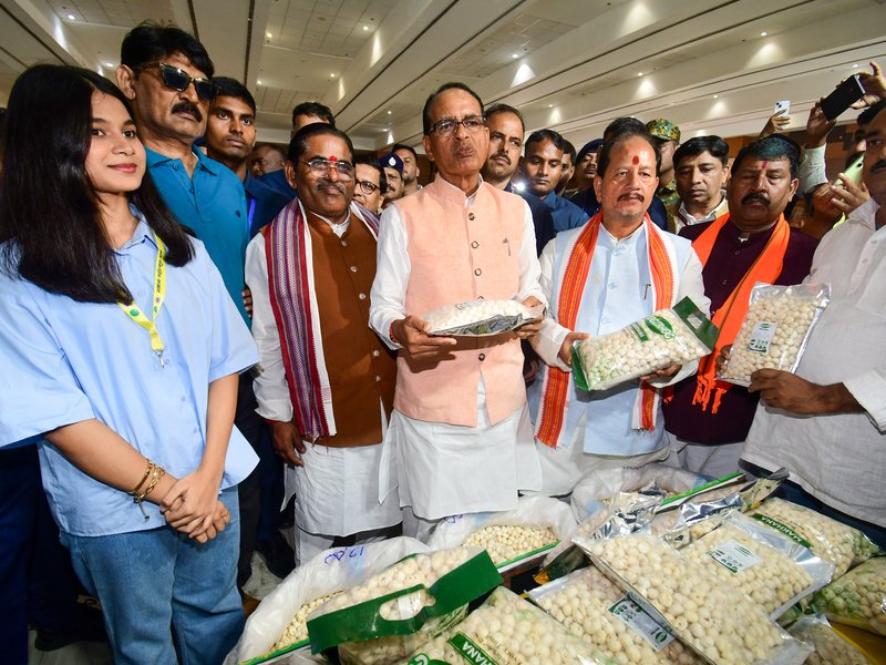 Makhana prices double in US as Indian exporters find alternate markets: Report