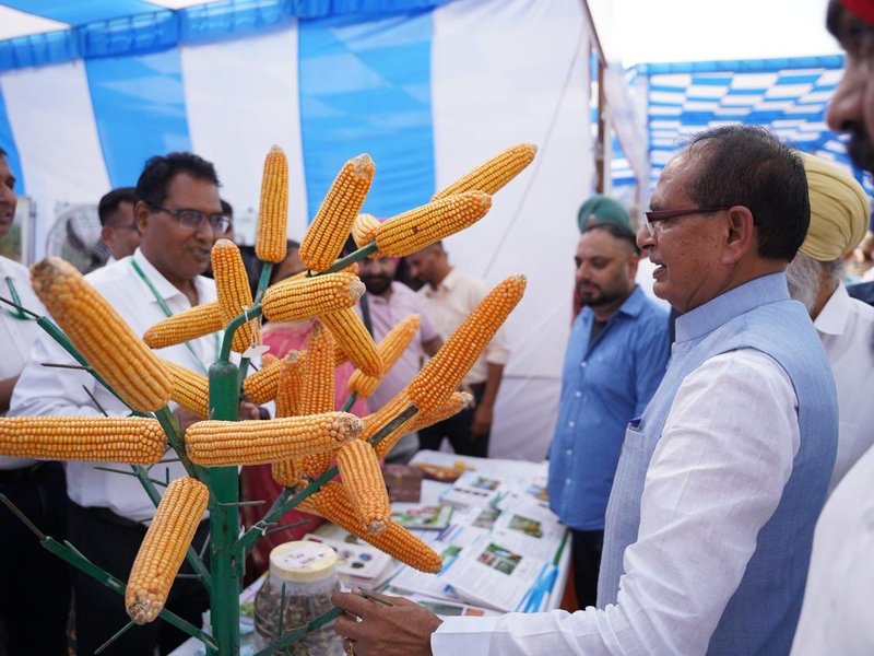 Rs 1.6 lakh approved per family for reconstruction of 36,703 houses damaged in Punjab floods: Union Minister Chouhan 
