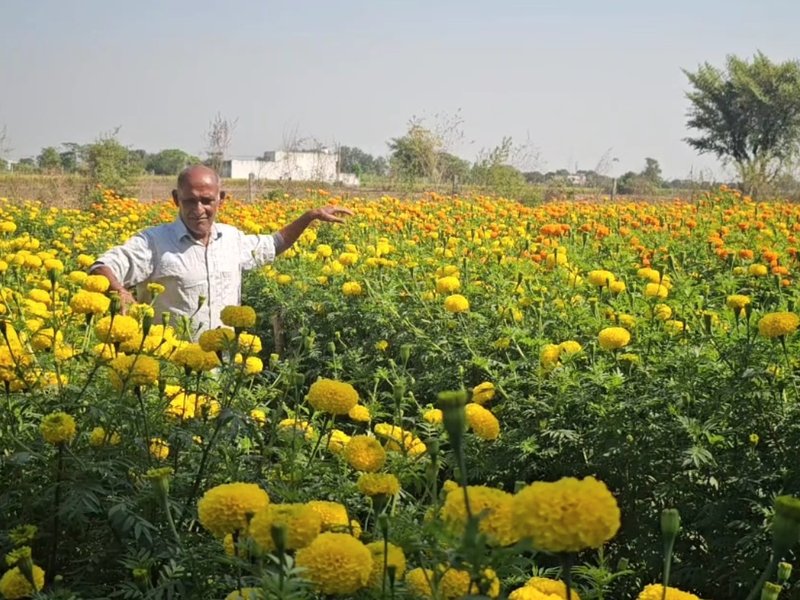 Samba farmer earns lakhs from floriculture, becomes symbol of modern farming