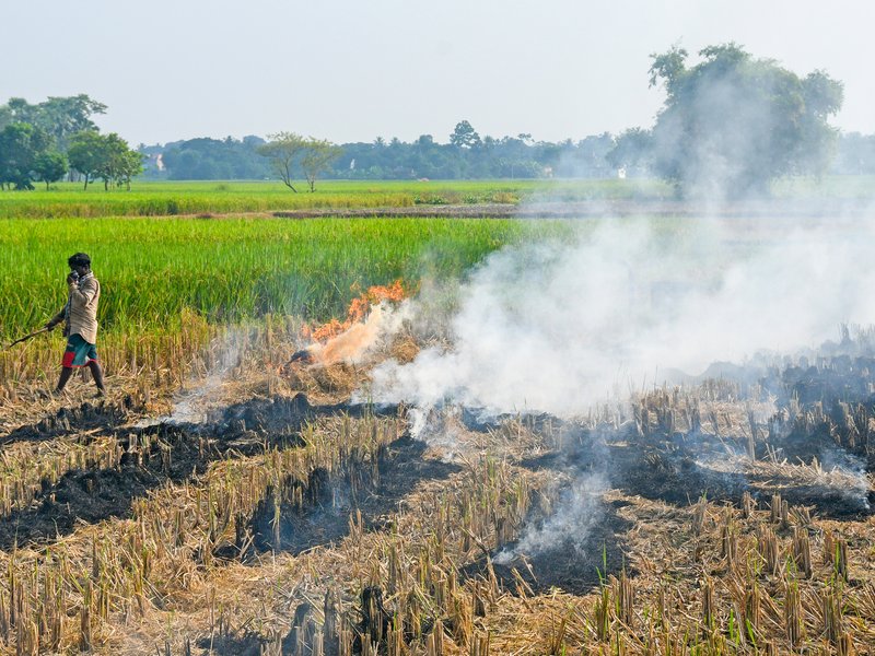 पराली जलाने से वायु प्रदूषण के साथ खेतों को भी होता है भारी नुकसान 