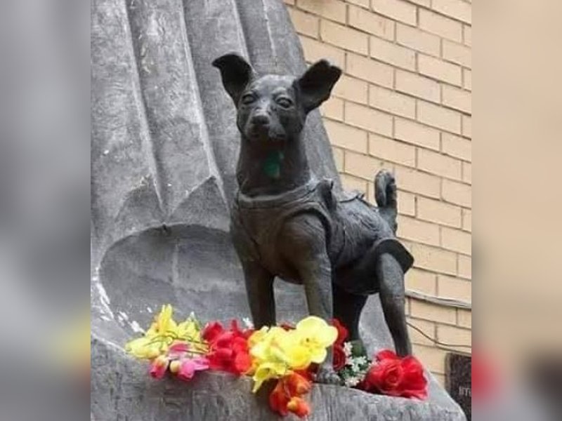 लाइका: वह नन्ही नायिका जिसने अंतरिक्ष के खोले द्वार