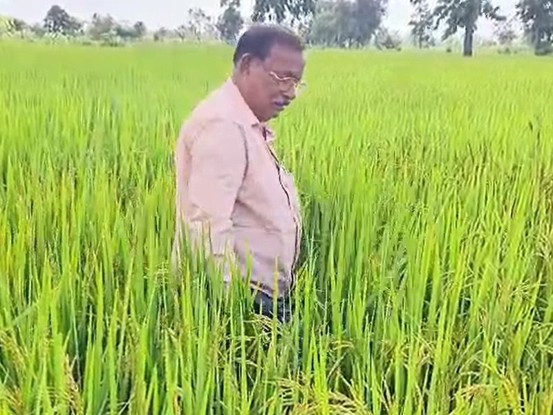 छत्तीसगढ़ की मिट्टी से उभरा गौरव, मुसवाडीह के वामन टिकरिहा को मिला ‘डॉ. खूबचंद बघेल कृषक रत्न पुरस्कार’