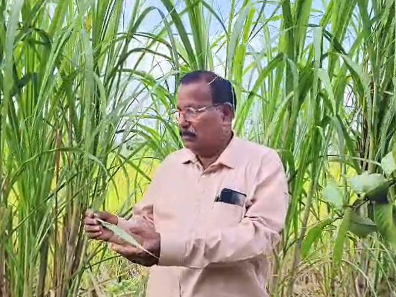 Chhattisgarh farmer honoured with Khubchand Baghel Krishak Ratna award for organic innovation