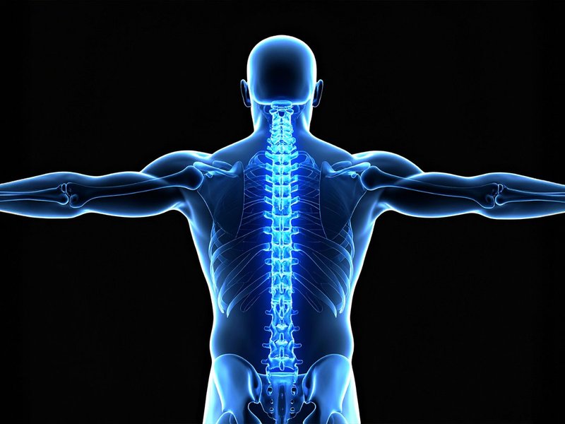 Japanese researchers successfully regenerate bone using stem cells