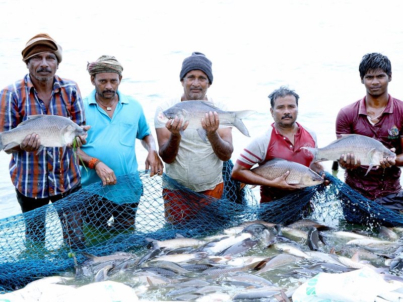 नए ईईजेड नियम समुद्री खाद्य निर्यात को बढ़ाने में देंगे अहम योगदान