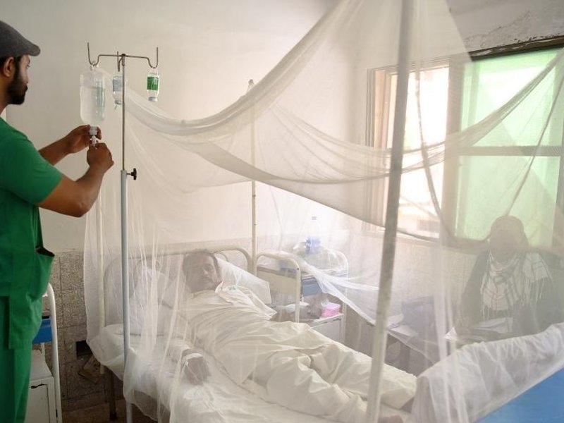 Pakistan: One more dengue death takes Sindh's official tally to 26