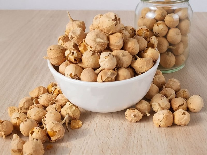 पनीर डोडी : औषधीय जड़ी-बूटियों का पावरहाउस, जानिए कैसे करती है काम