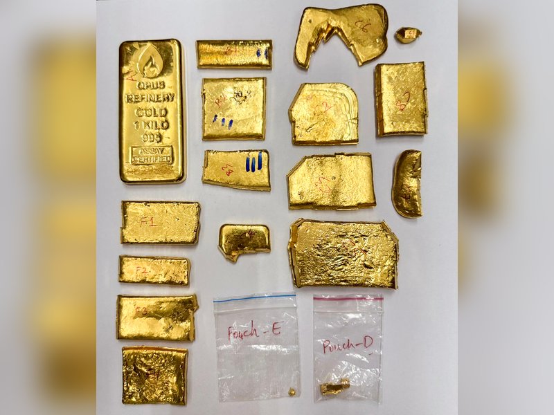 UN should declare Feb 11 as 'International Anti-Smuggling Day': Expert