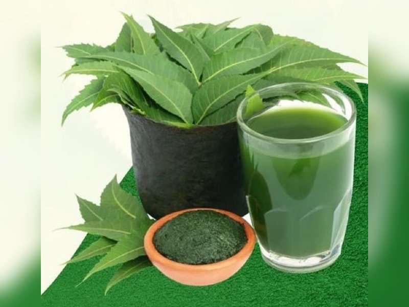 लिवर को डिटॉक्स कर मुहांसो को दूर करता है नीम