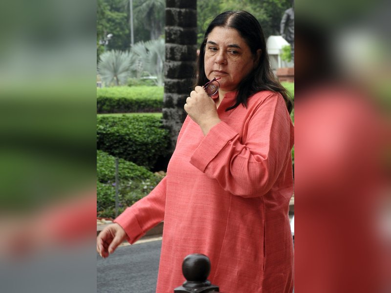 हंसना-रोना सिखाती हैं फिल्में, बेजुबानों की भावनाएं कौन समझेगा?- मेनका गांधी