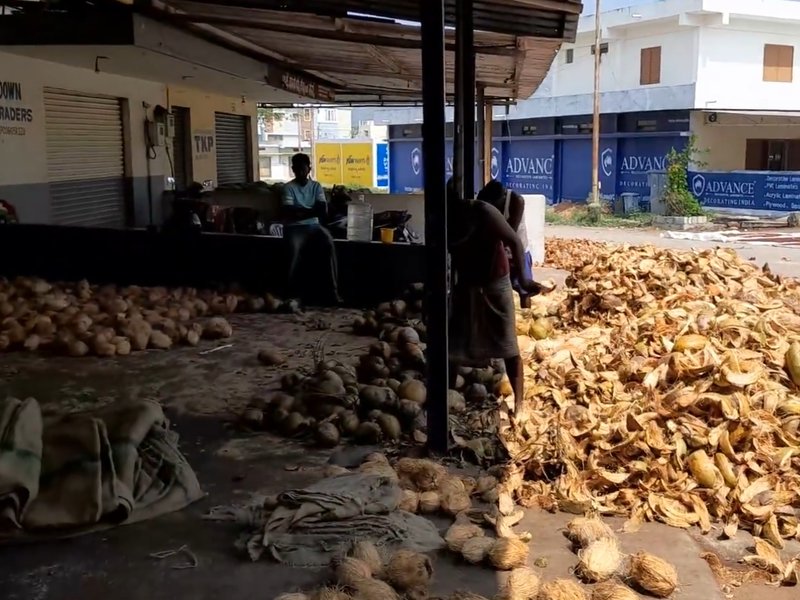 Tiptur Copra eyes GI tag, recognition will enhance economic viability of coconut farmers