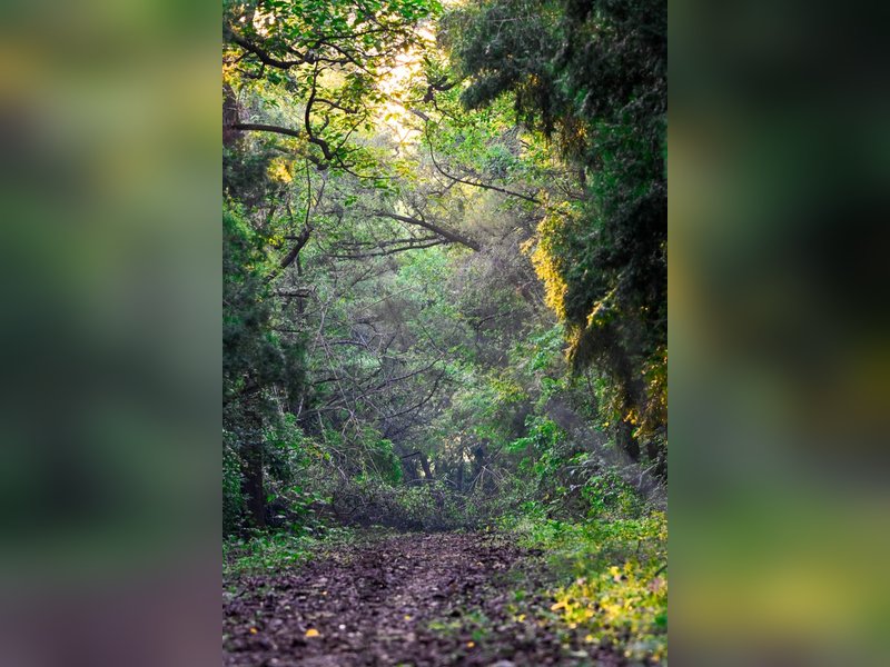 Indian biosphere reserves testament to how culture, sustainable development can coexist