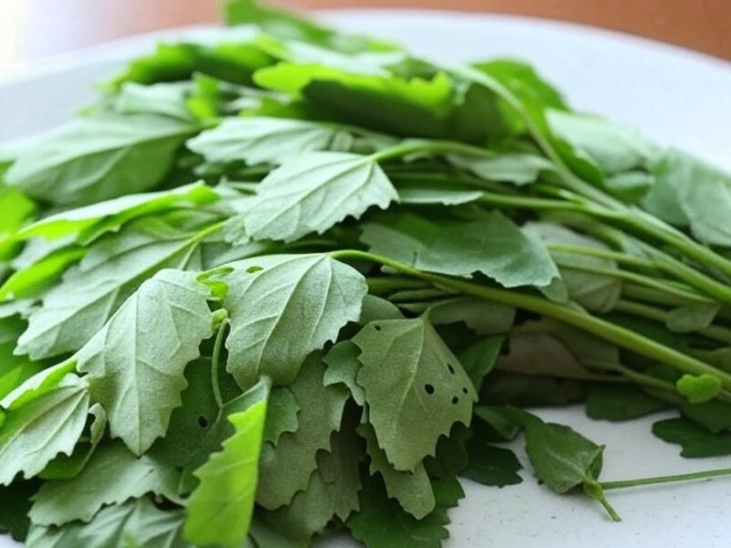 आंतों से लेकर जोड़ों तक, जानिए बथुआ कैसे रखता है शरीर को फिट?