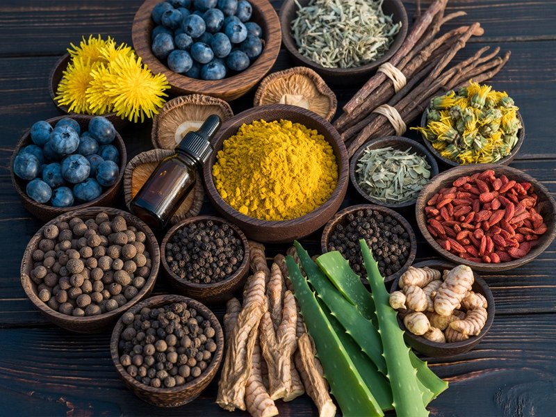 योगवाही औषधियां, जो किसी जड़ी-बूटी के असर को कर दें दोगुना