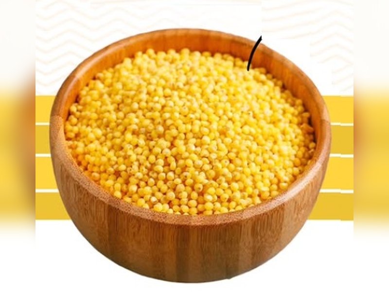 सुपरफूड है छोटा बाजरा, थाली में करें शामिल 