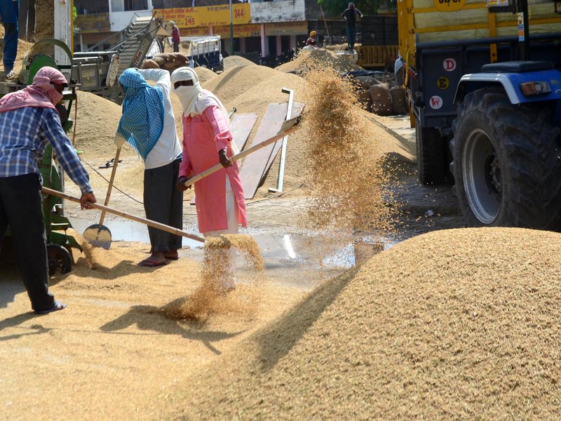 नए श्रम कानूनों से मजदूरों की आमदनी बढ़ेगी, महिलाएं सशक्त होंगी