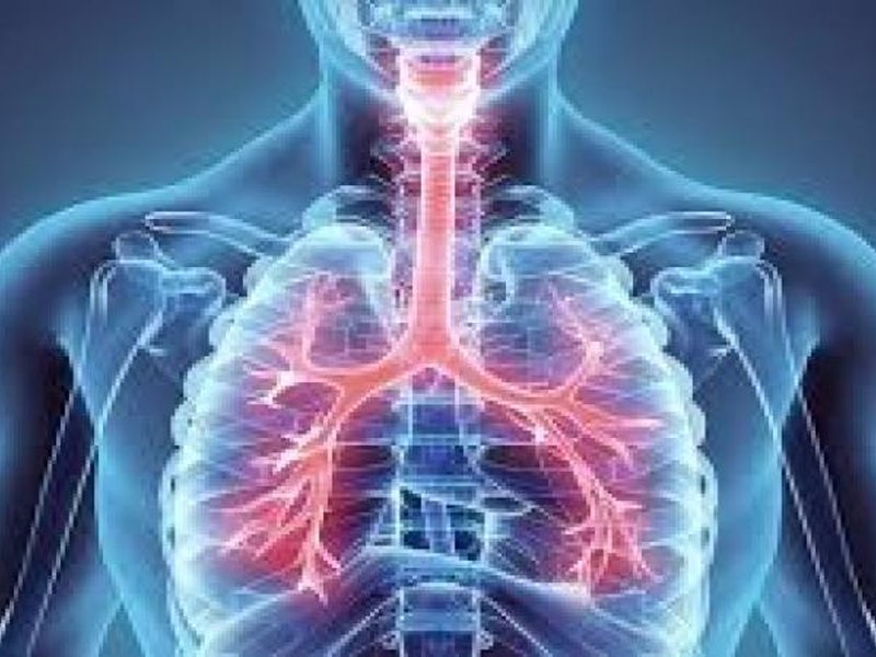 लंग डिटॉक्स: फेफड़ों को बनाएं स्वस्थ और मजबूत, अपनाएं ये घरेलू उपाय