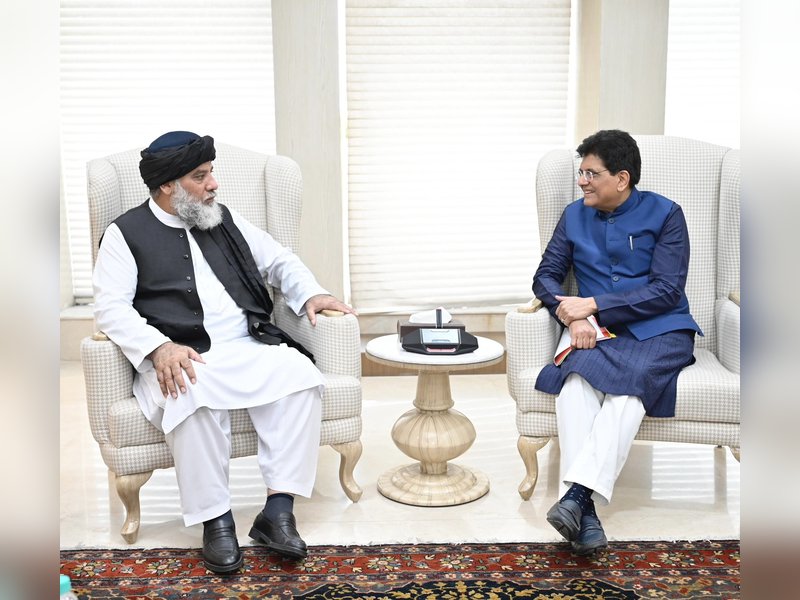 भारत और अफगानिस्तान काबुल से दिल्ली-अमृतसर के लिए शुरू करेंगे कार्गो फ्लाइट, व्यापार को मिलेगा बढ़ावा 