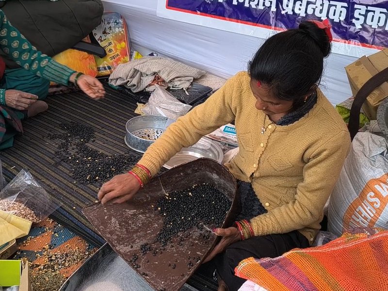 उत्तराखंड: ग्रामीण आजीविका मिशन से चमोली की महिलाएं हो रही आत्मनिर्भर, आर्थिकरूप से हुई सुदृढ़