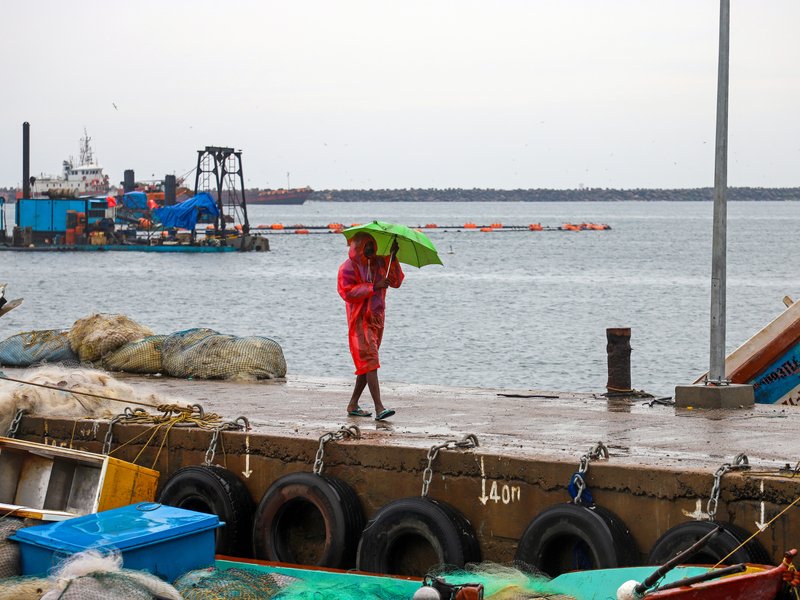 चक्रवाती तूफान 'दित्वाह' : तमिलनाडु-पुडुचेरी के तटीय क्षेत्रों में 'ऑरेंज अलर्ट' जारी, कई जिलों में स्कूल और कॉलेज बंद 