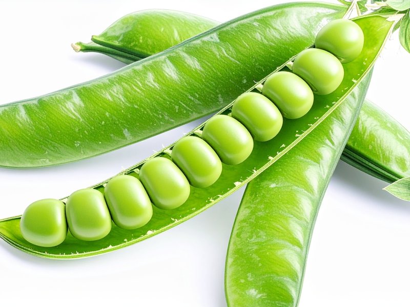 कूड़े में न फेंकें मटर के छिलके, इसमें छिपे हैं सेहत के असली खजाने