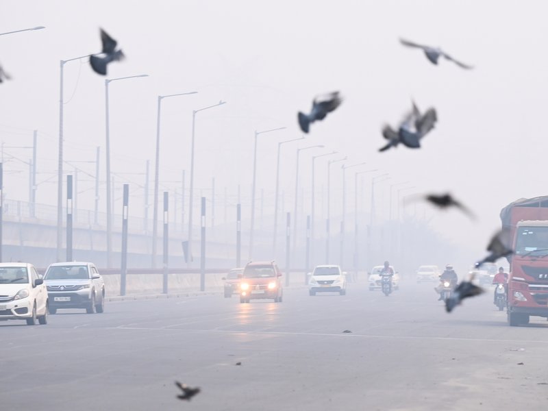 Air pollution can heighten anxiety and trigger panic-like symptoms: Doctors