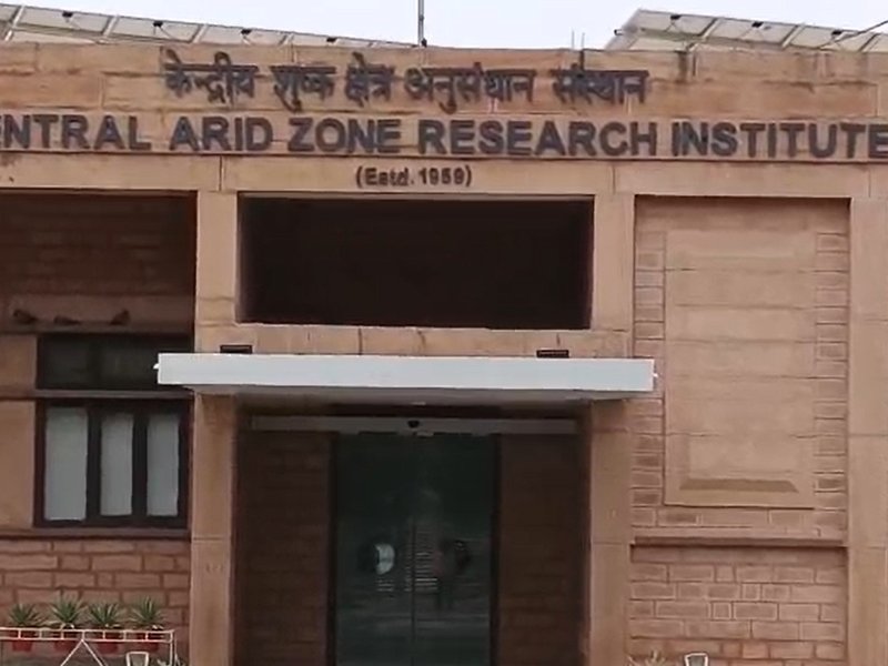 राजस्थान: जोधपुर के किसानों के लिए वरदान भगवा वैरायटी और सुपर भगवा अनार की प्रजाति, कई गुना हो रही आमदनी