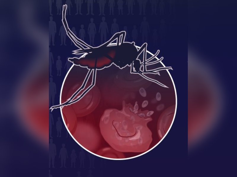 Over 6 lakh lives lost due to malaria in 2024, drug resistance a major threat: WHO