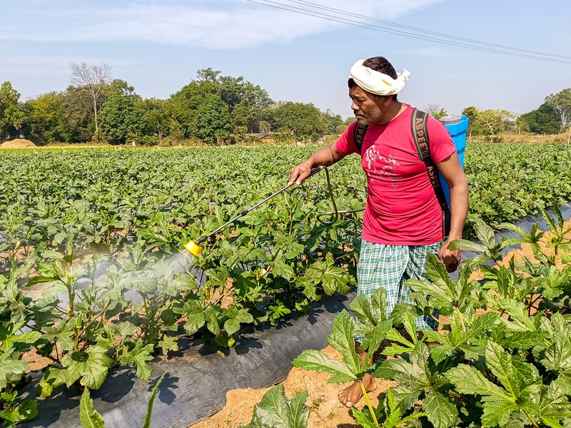 India has adequate fertiliser stocks ahead of Kharif 2026 despite global disruptions: Sources