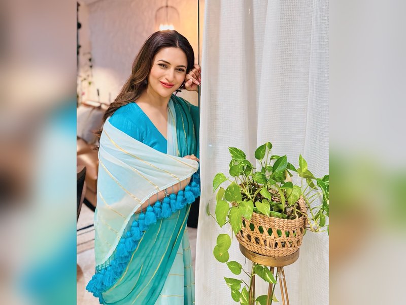 Divyanka Tripathi follows Neena Gupta, openly asks for voice-over work on social media	