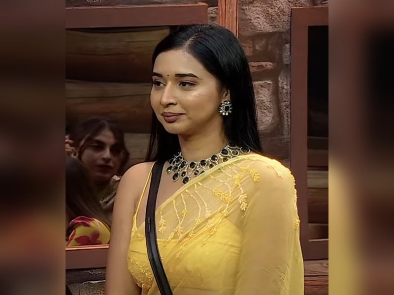 बिग बॉस 19: 'फेक गर्ल' के टैग से 'फाइनलिस्ट' तक तान्या मित्तल का शानदार रहा सफर, हमेशा दर्शकों को बांधे रखा