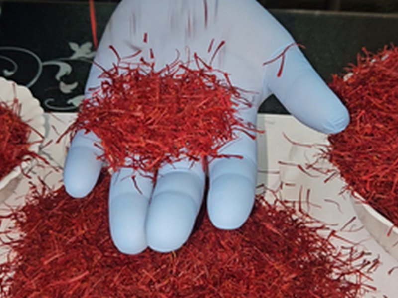 J&K residents joyous, hopeful of high demand after PM Modi gifts Kashmiri saffron to Putin