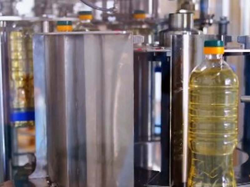 Govt to push oilseed production to 69.7 million tonnes by 2031, boost Atmanirbharta in edible oils