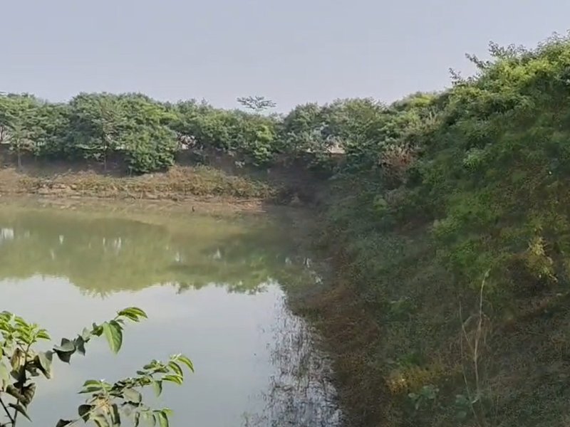 किसान अमरेंद्र ने अरहर दाल से कमाए तीन लाख रुपए, सरकारी योजना से प्रेरित होकर कोसी क्षेत्र में सफल खेती की