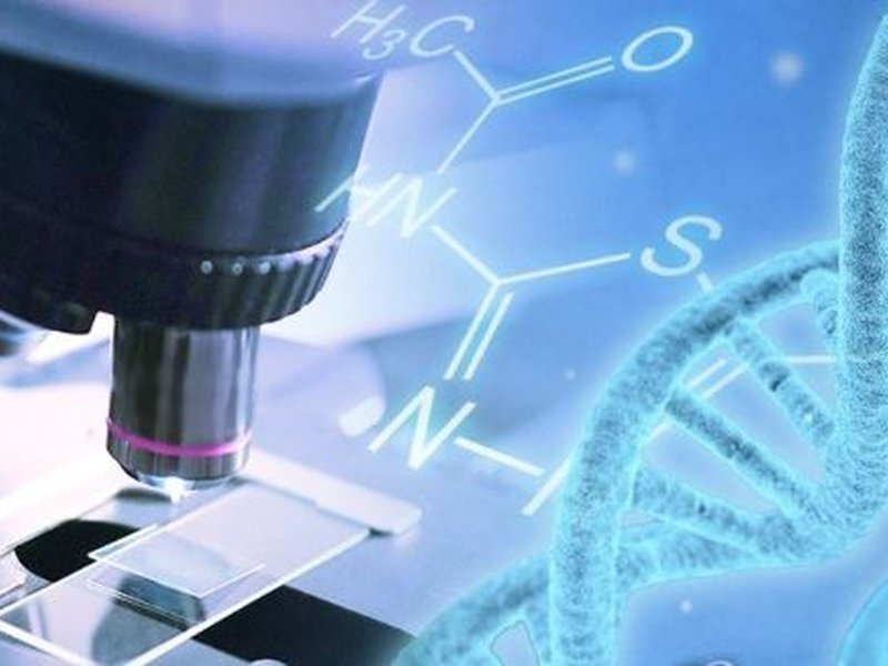 Indian scientists engineer CRISPR protein to boost gene editing to treat genetic diseases, cancer 