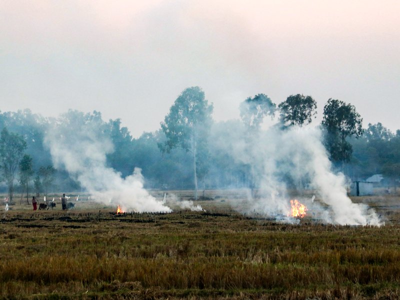 NASA says later-day stubble burning in northern India complicates air quality monitoring