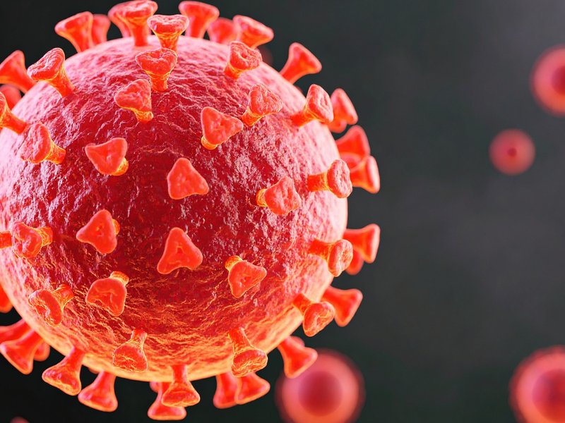 No link between COVID-19 vaccines and sudden deaths in young adults: AIIMS